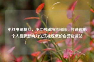 小红书刷粉丝，小红书刷粉丝秘籍，打造你的个人品牌影响力亿乐社区低价自营货源站