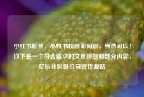 小红书粉丝，小红书粉丝如何涨，当然可以！以下是一个符合要求的文章标题和部分内容，亿乐社区低价自营货源站