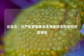 证监会：从严监管募集资金用途改变和使用进度缓慢