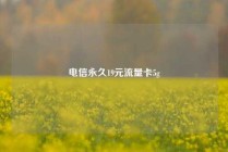 电信永久19元流量卡5g