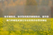 快手刷粉丝，快手如何高效刷取粉丝，提升影响力的秘密武器亿乐社区低价自营货源站