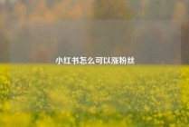 小红书怎么可以涨粉丝