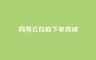 网易云24h自助下单商城,抖音24小时业务平台 - ks和快手是一个平台 - 抖音卖粉丝