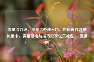 流量卡办理，流量卡办理入口，如何高效办理流量卡，实用指南与技巧分享亿乐社区SUP货源站