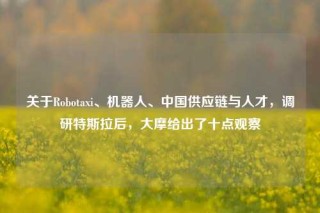 关于Robotaxi、机器人、中国供应链与人才，调研特斯拉后，大摩给出了十点观察