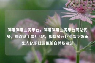 哔哩哔哩业务平台，哔哩哔哩业务平台网站优势，喜欢就上岸！B站，构建多元化的数字娱乐生态亿乐社区低价自营货源站