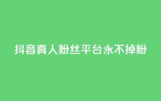 抖音真人粉丝平台 永不掉粉,点赞自助平台有哪些 - qq空间访客量购买网站 - 24小时全网最低价下单平台
