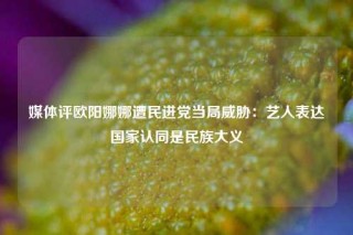 媒体评欧阳娜娜遭民进党当局威胁：艺人表达国家认同是民族大义