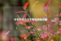 中非经贸合作不断取得新进展