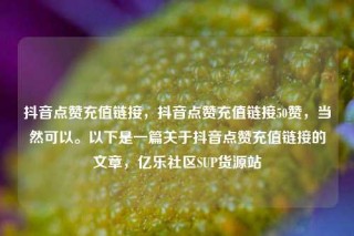 抖音点赞充值链接，抖音点赞充值链接50赞，当然可以。以下是一篇关于抖音点赞充值链接的文章，亿乐社区SUP货源站