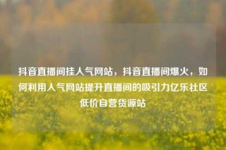 抖音直播间挂人气网站，抖音直播间爆火，如何利用人气网站提升直播间的吸引力亿乐社区低价自营货源站