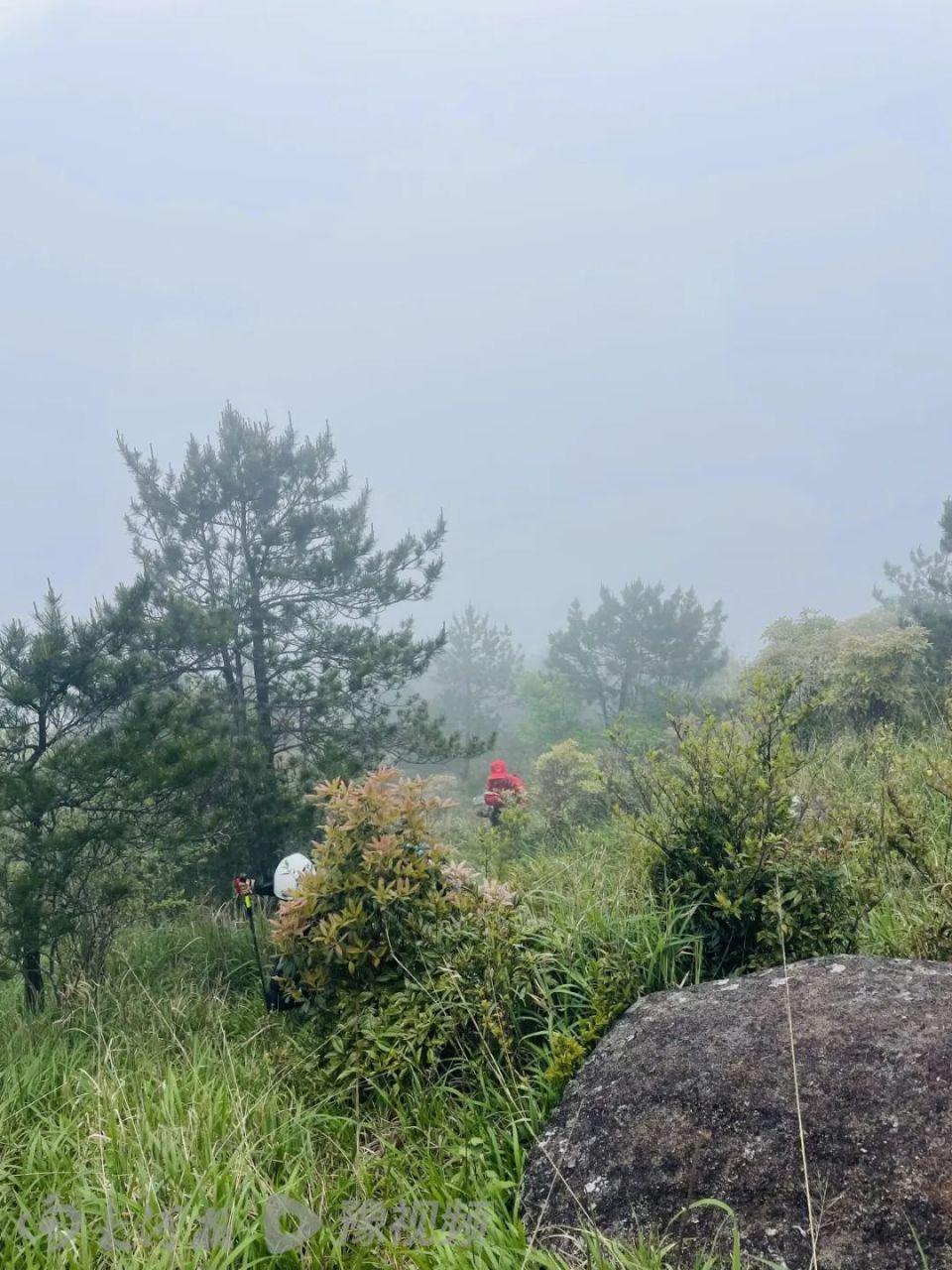 8岁男童登山失联12天，搜救仍在继续，专业人士：是否终止救援主要看两点  第2张