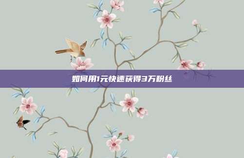 如何用1元快速获得3万粉丝  第1张