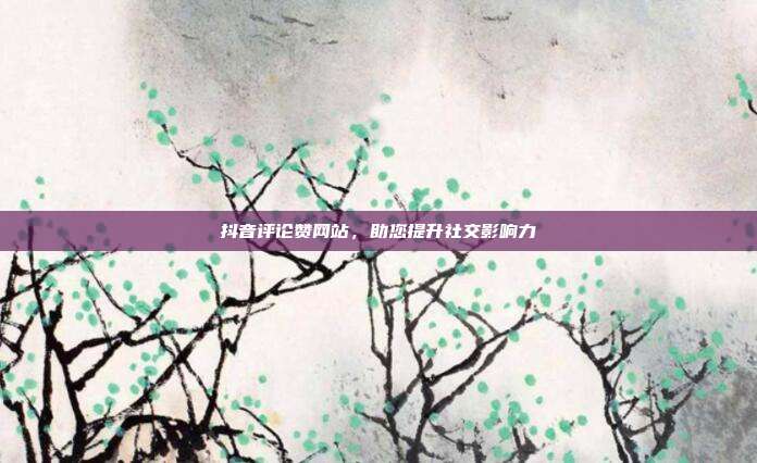 抖音评论赞网站，助您提升社交影响力  第1张