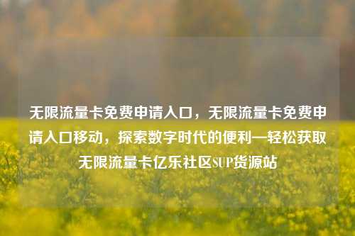 无限流量卡免费申请入口，无限流量卡免费申请入口移动，探索数字时代的便利—轻松获取无限流量卡亿乐社区SUP货源站  第1张
