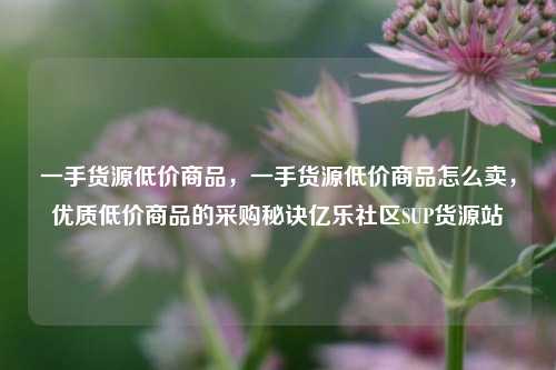 一手货源低价商品，一手货源低价商品怎么卖，优质低价商品的采购秘诀亿乐社区SUP货源站  第1张