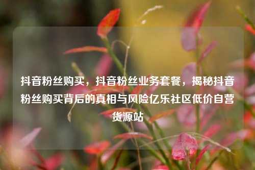 抖音粉丝购买，抖音粉丝业务套餐，揭秘抖音粉丝购买背后的真相与风险亿乐社区低价自营货源站  第1张