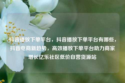 抖音播放下单平台	，抖音播放下单平台有哪些，抖音电商新趋势，高效播放下单平台助力商家增长亿乐社区低价自营货源站  第1张