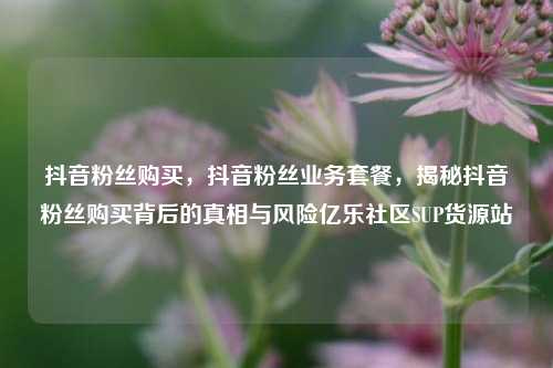 抖音粉丝购买，抖音粉丝业务套餐，揭秘抖音粉丝购买背后的真相与风险亿乐社区SUP货源站  第1张