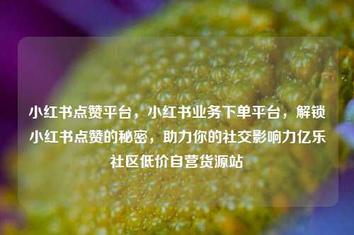 小红书点赞平台，小红书业务下单平台，解锁小红书点赞的秘密，助力你的社交影响力亿乐社区低价自营货源站  第1张
