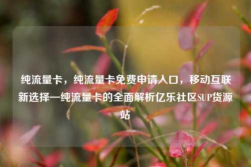 纯流量卡，纯流量卡免费申请入口，移动互联新选择—纯流量卡的全面解析亿乐社区SUP货源站  第1张