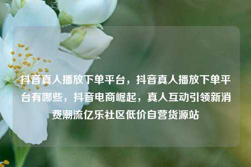 抖音真人播放下单平台，抖音真人播放下单平台有哪些，抖音电商崛起，真人互动引领新消费潮流亿乐社区低价自营货源站  第1张