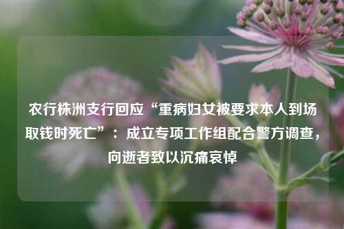 农行株洲支行回应“重病妇女被要求本人到场取钱时死亡”：成立专项工作组配合警方调查，向逝者致以沉痛哀悼  第1张