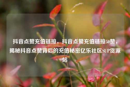 抖音点赞充值链接，抖音点赞充值链接50赞，揭秘抖音点赞背后的充值秘密亿乐社区SUP货源站  第1张