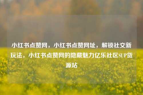 小红书点赞网，小红书点赞网址，解锁社交新玩法，小红书点赞网的隐藏魅力亿乐社区SUP货源站  第1张
