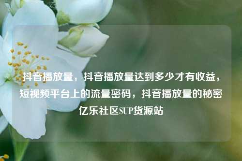 抖音播放量，抖音播放量达到多少才有收益，短视频平台上的流量密码，抖音播放量的秘密亿乐社区SUP货源站  第1张