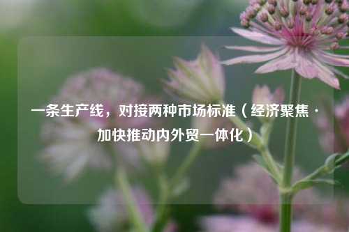 一条生产线，对接两种市场标准（经济聚焦·加快推动内外贸一体化）  第1张