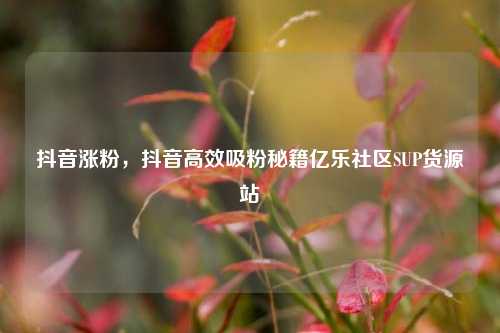 抖音涨粉，抖音高效吸粉秘籍亿乐社区SUP货源站  第1张