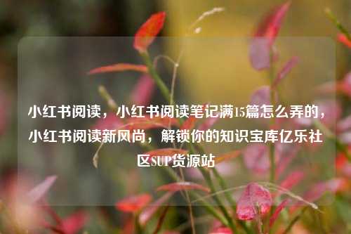 小红书阅读，小红书阅读笔记满15篇怎么弄的，小红书阅读新风尚，解锁你的知识宝库亿乐社区SUP货源站  第1张