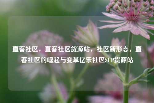 直客社区，直客社区货源站，社区新形态，直客社区的崛起与变革亿乐社区SUP货源站  第1张