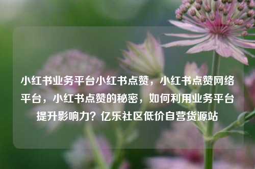 小红书业务平台小红书点赞，小红书点赞网络平台，小红书点赞的秘密，如何利用业务平台提升影响力？亿乐社区低价自营货源站  第1张