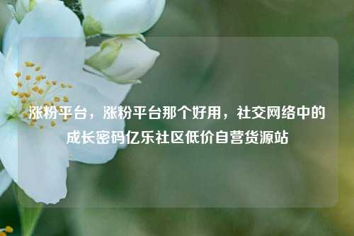 涨粉平台，涨粉平台那个好用，社交网络中的成长密码亿乐社区低价自营货源站  第1张