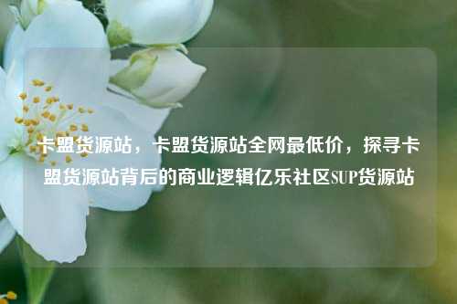 卡盟货源站，卡盟货源站全网最低价，探寻卡盟货源站背后的商业逻辑亿乐社区SUP货源站  第1张