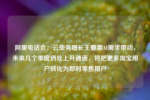 阿里电话会：云业务增长主要靠AI需求带动，未来几个季度仍处上升通道，将把更多淘宝用户转化为即时零售用户  第1张