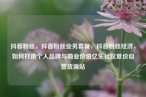 抖音粉丝，抖音粉丝业务套餐，抖音粉丝经济，如何打造个人品牌与商业价值亿乐社区低价自营货源站  第1张