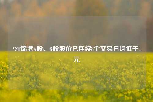 *ST锦港A股、B股股价已连续8个交易日均低于1元  第1张