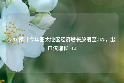 APEC预计今年亚太地区经济增长放缓至2.6%，出口仅增长0.4%  第1张