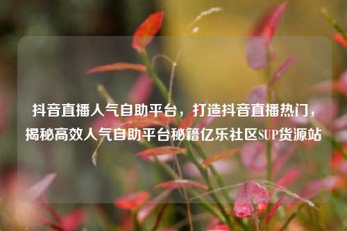 抖音直播人气自助平台，打造抖音直播热门，揭秘高效人气自助平台秘籍亿乐社区SUP货源站  第1张