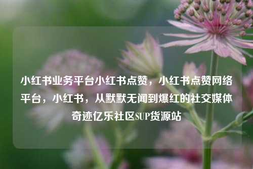 小红书业务平台小红书点赞，小红书点赞网络平台，小红书，从默默无闻到爆红的社交媒体奇迹亿乐社区SUP货源站  第1张