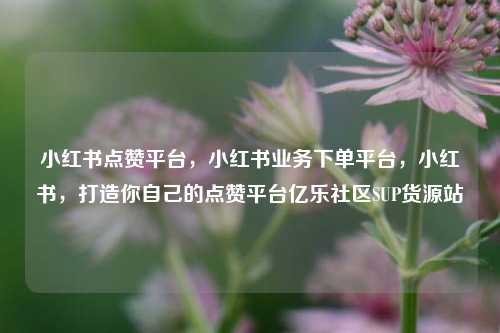 小红书点赞平台	，小红书业务下单平台，小红书，打造你自己的点赞平台亿乐社区SUP货源站  第1张