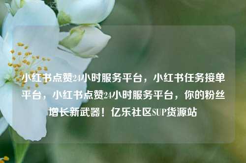 小红书点赞24小时服务平台，小红书任务接单平台	，小红书点赞24小时服务平台，你的粉丝增长新武器！亿乐社区SUP货源站  第1张
