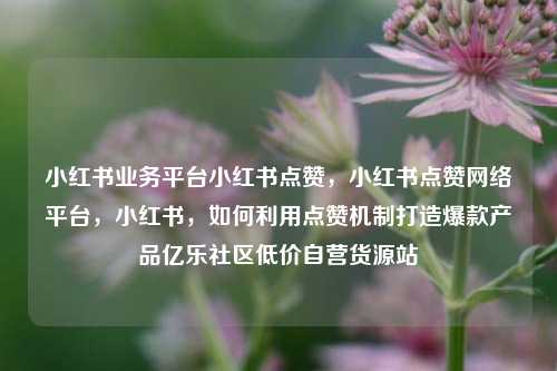 小红书业务平台小红书点赞，小红书点赞网络平台	，小红书，如何利用点赞机制打造爆款产品亿乐社区低价自营货源站  第1张