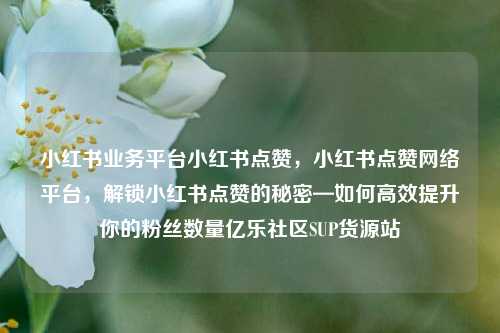 小红书业务平台小红书点赞，小红书点赞网络平台	，解锁小红书点赞的秘密—如何高效提升你的粉丝数量亿乐社区SUP货源站  第1张
