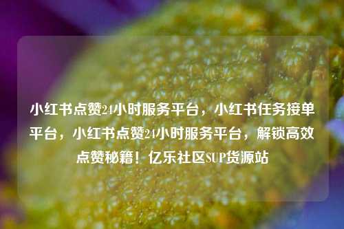 小红书点赞24小时服务平台，小红书任务接单平台	，小红书点赞24小时服务平台，解锁高效点赞秘籍！亿乐社区SUP货源站  第1张