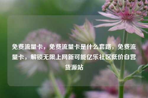 免费流量卡，免费流量卡是什么套路，免费流量卡，解锁无限上网新可能亿乐社区低价自营货源站  第1张