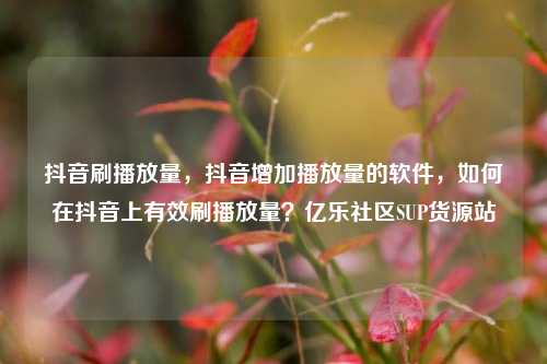 抖音刷播放量，抖音增加播放量的软件，如何在抖音上有效刷播放量？亿乐社区SUP货源站  第1张